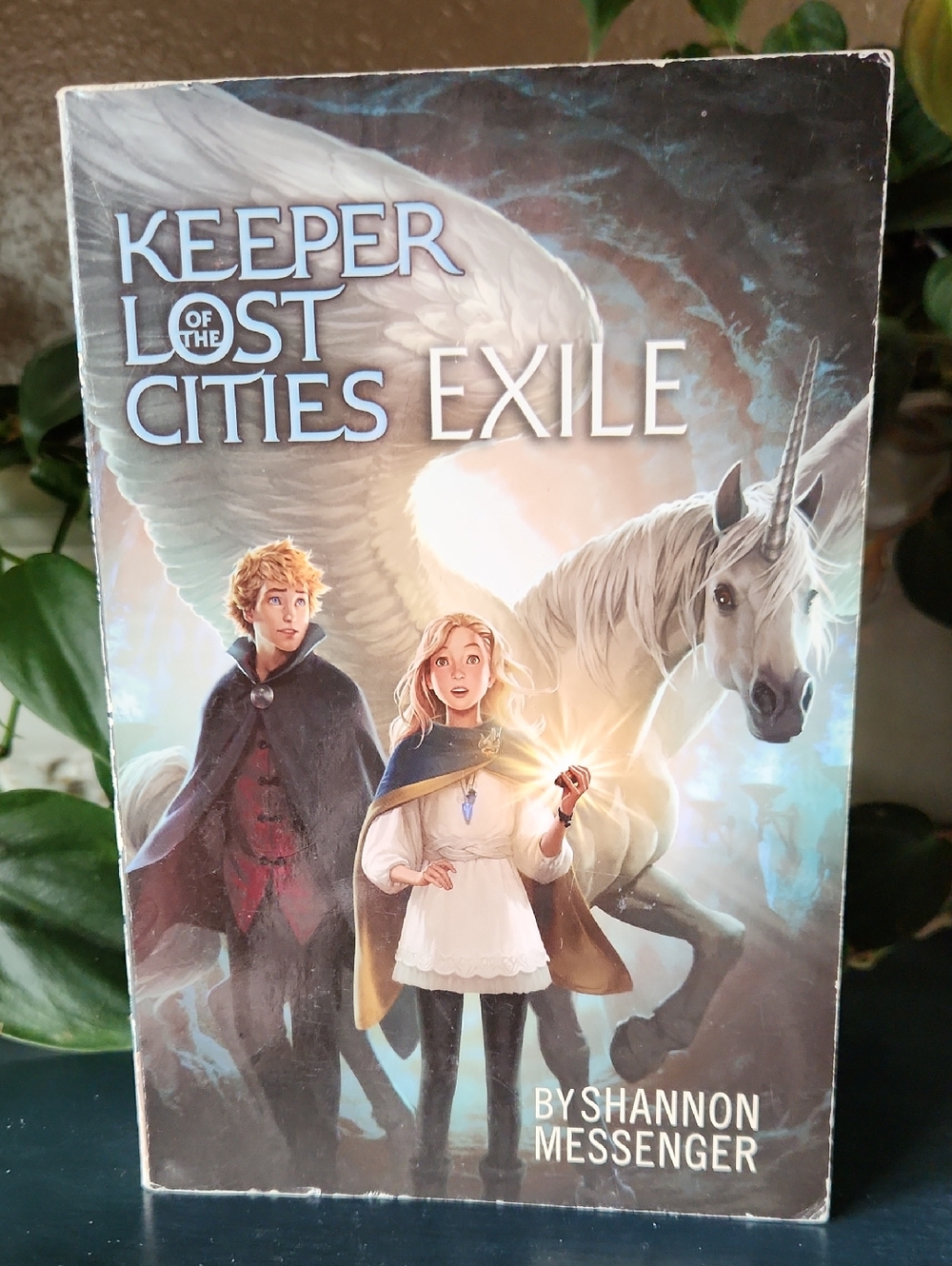 Keeper of the Lost Cities: Exile Book 2 Two Paperback